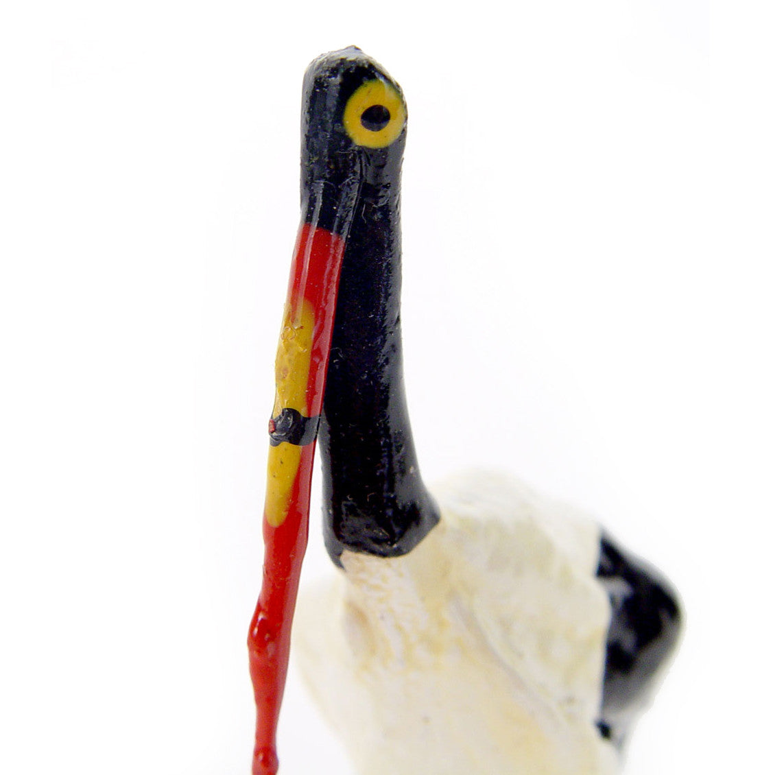 seed pod stork close up