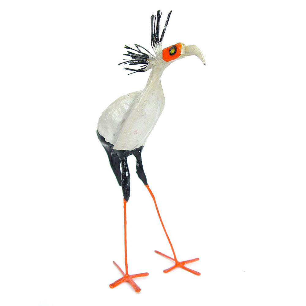 seed pod secretary bird front view